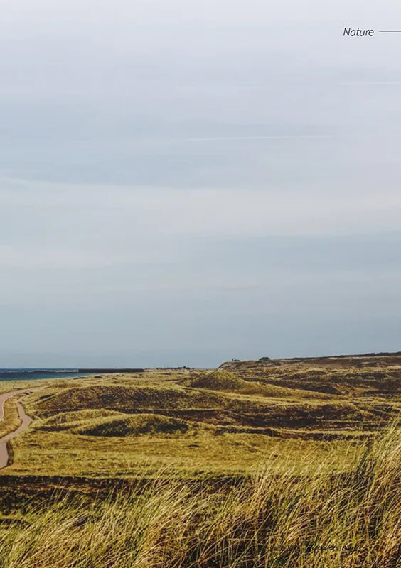 danemark-livret13 copie